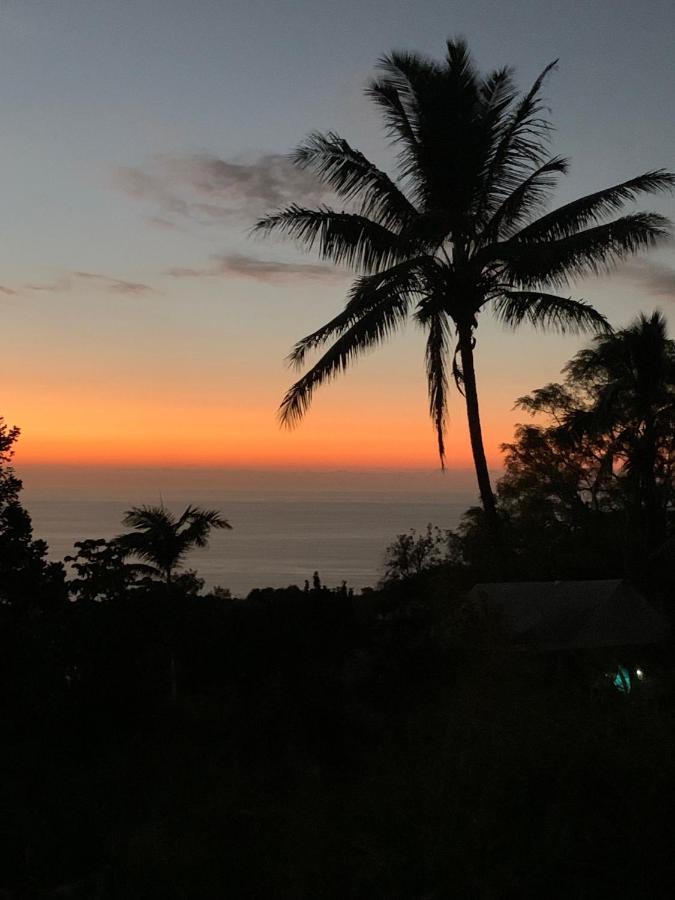 Vila Cozy Jungle Boat Hideaway With Stunning Ocean View Kealakekua Exteriér fotografie