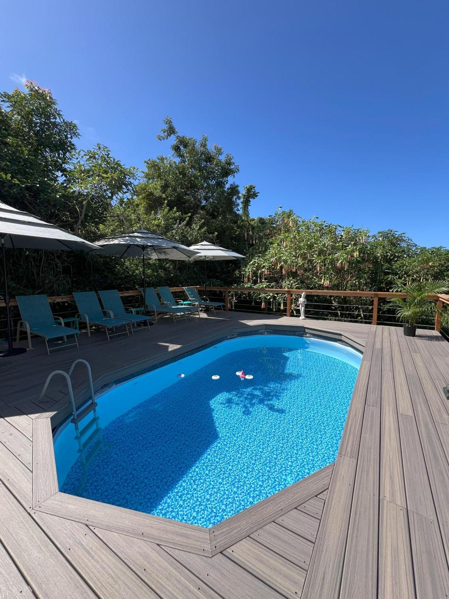 Vila Cozy Jungle Boat Hideaway With Stunning Ocean View Kealakekua Exteriér fotografie
