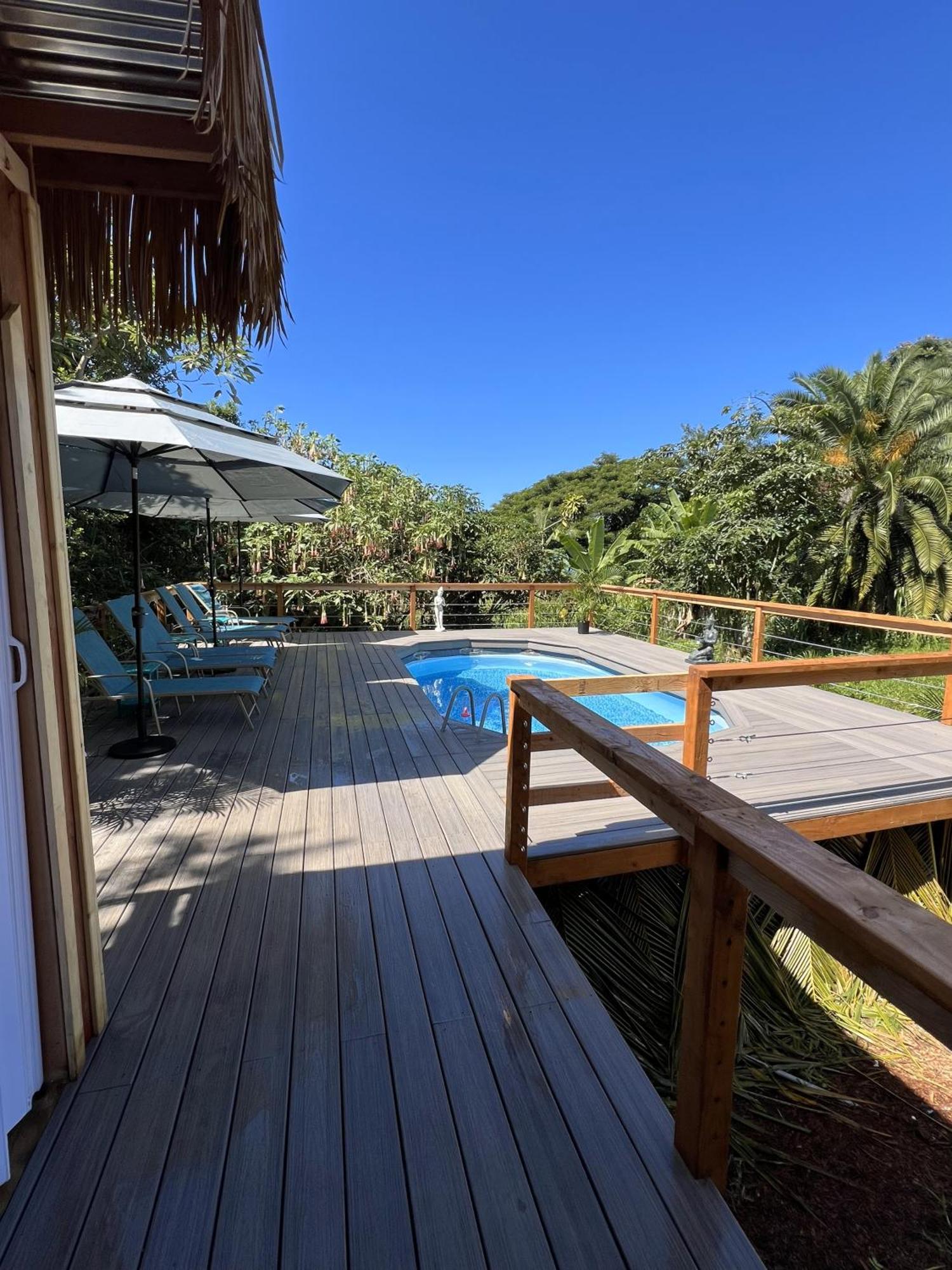 Vila Cozy Jungle Boat Hideaway With Stunning Ocean View Kealakekua Exteriér fotografie
